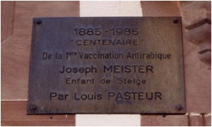 JOSEPH-MEISTER2